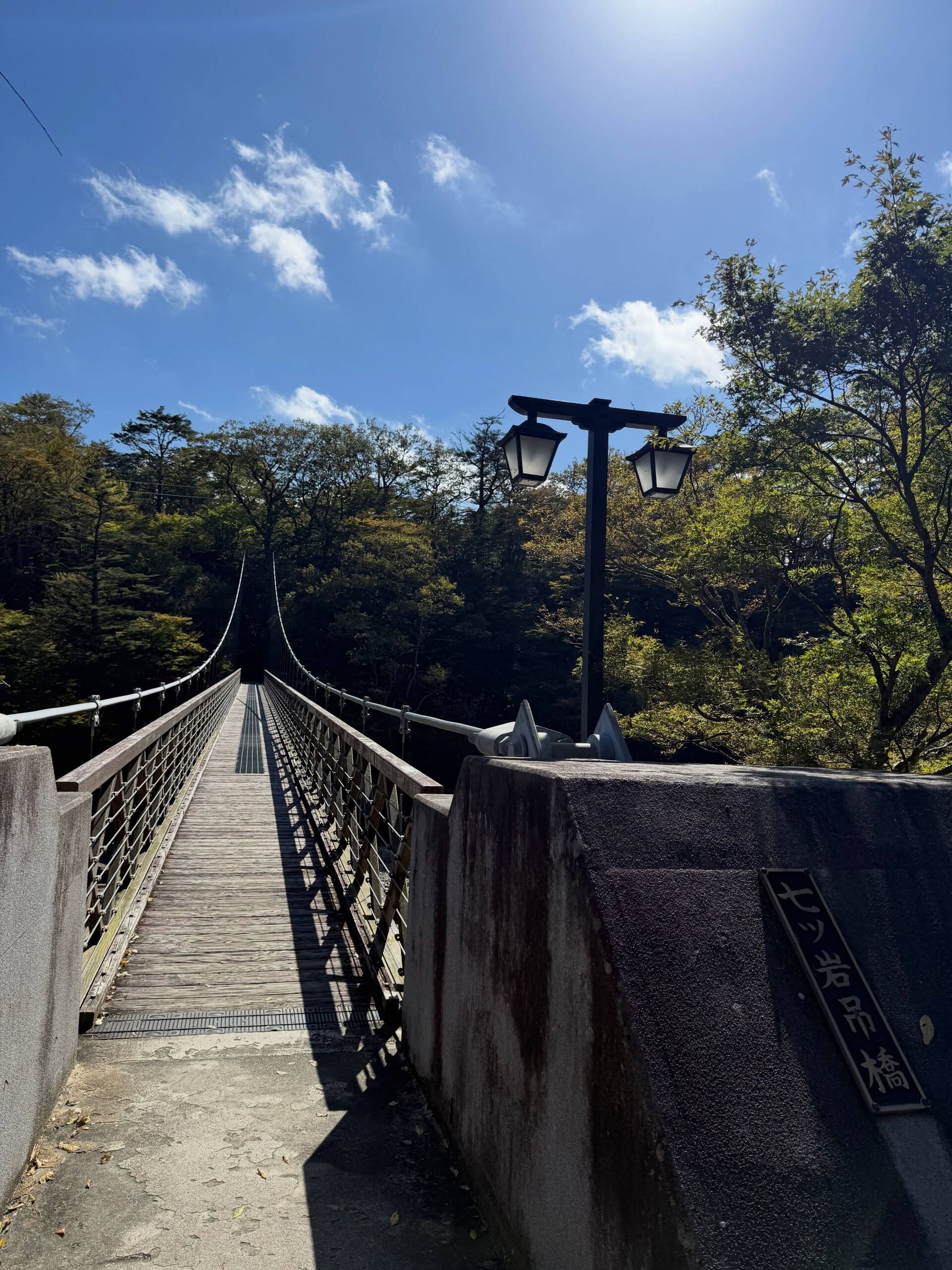 天空に近づく瞬間🌿